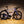 Load image into Gallery viewer, Guava Racing Team Bike