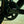 Load image into Gallery viewer, Guava Flat Bar Monster