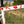 Load image into Gallery viewer, Guava Oh, Canada! Team Bike