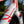Load image into Gallery viewer, Guava Oh, Canada! Team Bike