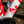 Load image into Gallery viewer, Guava Oh, Canada! Team Bike