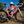Load image into Gallery viewer, Guava Oh, Canada! Team Bike